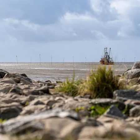 Mellumplate 24 別荘 ドルム・ノイフェルト