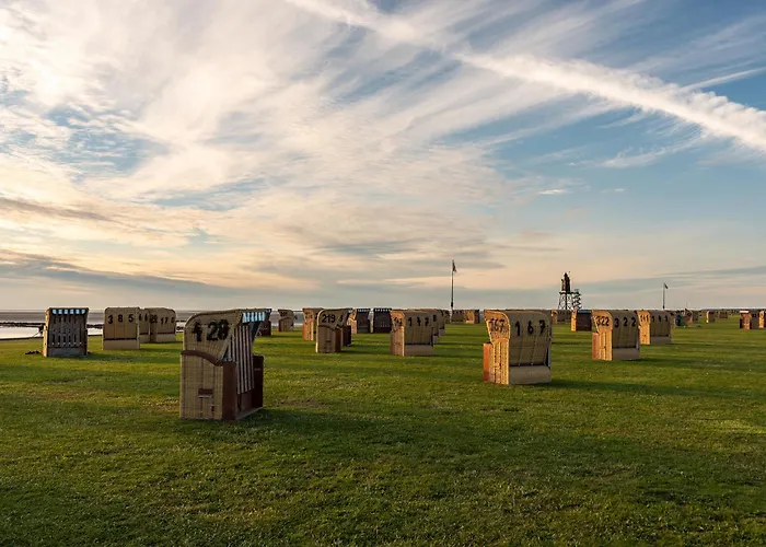 بيت للعطل Mellumplate 24 دورم نيوفيلد