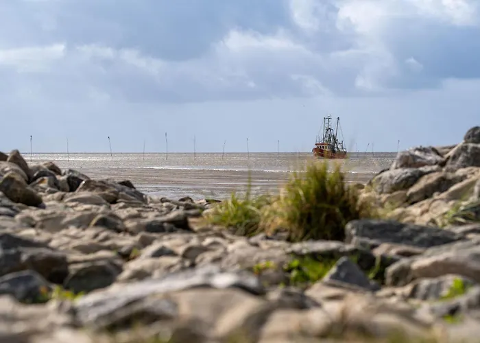 Mellumplate 24 بيت للعطل دورم نيوفيلد